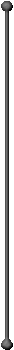 Circuit Vertical Ruler